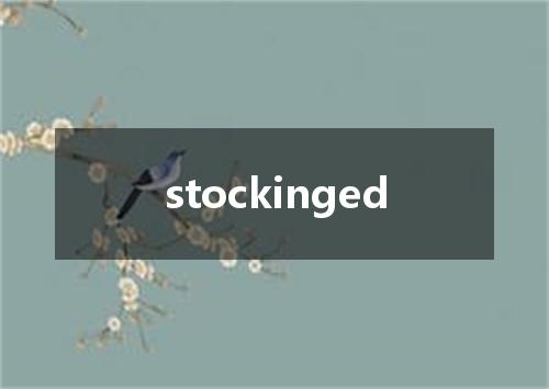 stockinged是什么意思