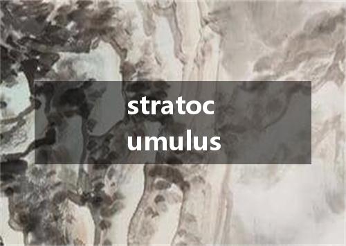 stratocumulus是什么意思