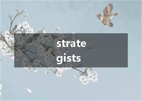 strategists是什么意思