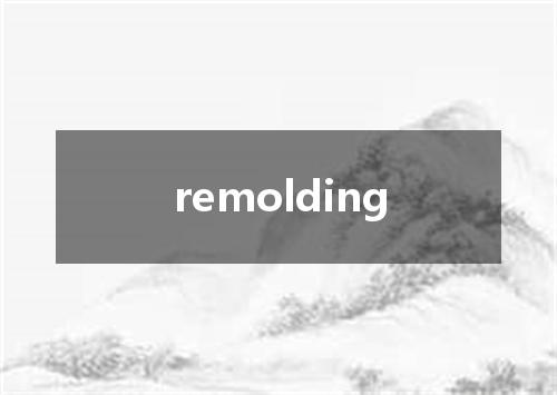 remolding是什么意思