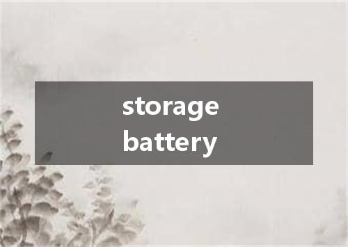 storage battery是什么意思
