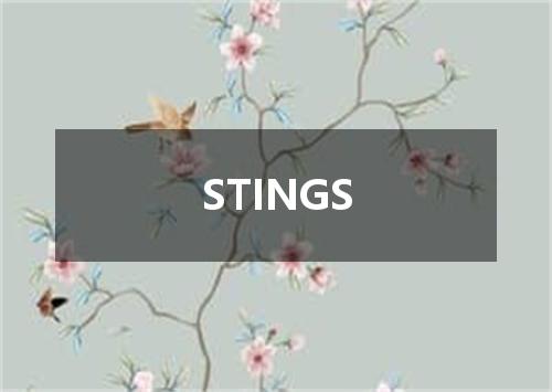 STINGS是什么意思