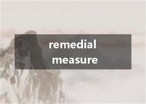 remedial measure是什么意思