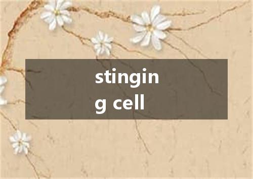 stinging cell是什么意思