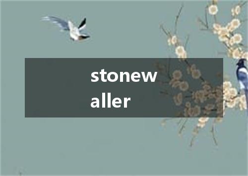stonewaller是什么意思