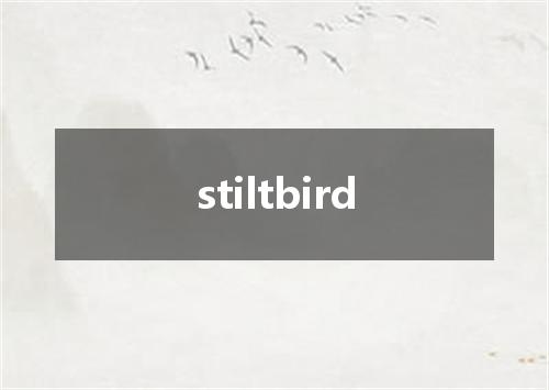 stiltbird是什么意思