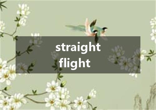 straight flight是什么意思