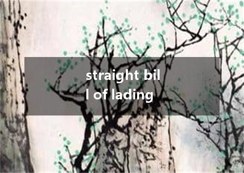 straight bill of lading是什么意思