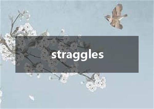 straggles是什么意思