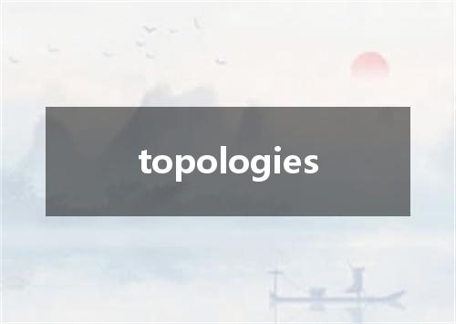 topologies是什么意思