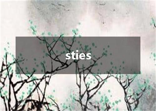 sties是什么意思