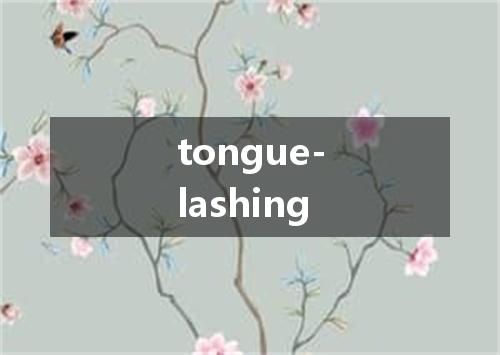 tongue-lashing是什么意思