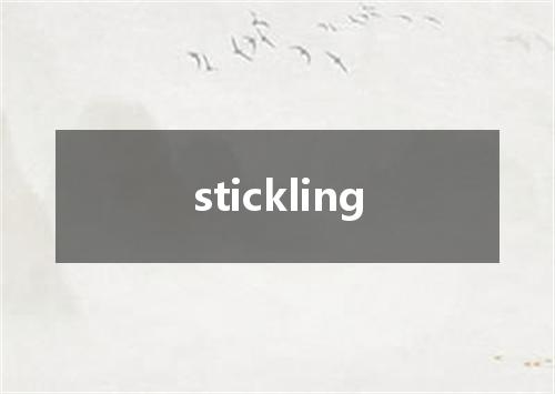 stickling是什么意思