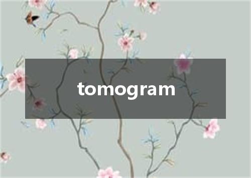 tomogram是什么意思