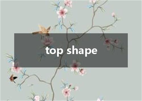 top shape是什么意思