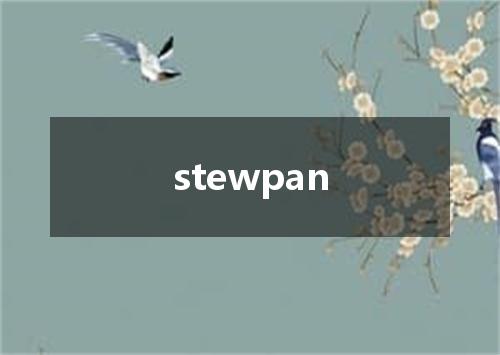 stewpan是什么意思