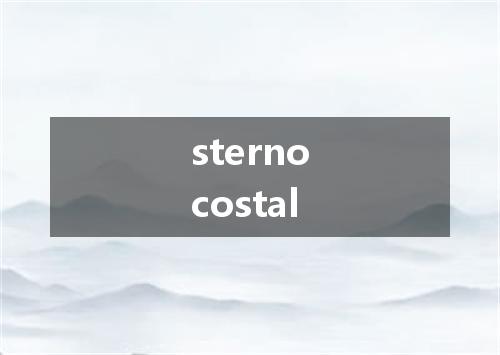 sternocostal是什么意思
