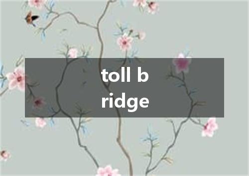 toll bridge是什么意思