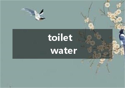 toilet water是什么意思