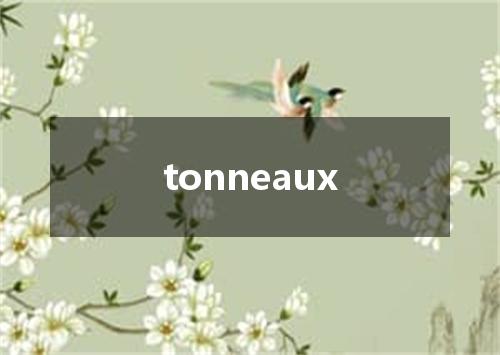 tonneaux是什么意思