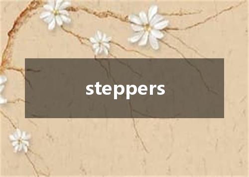 steppers是什么意思