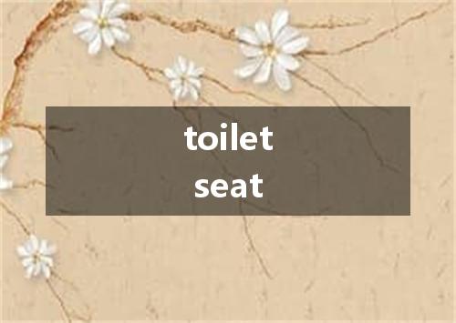 toilet seat是什么意思