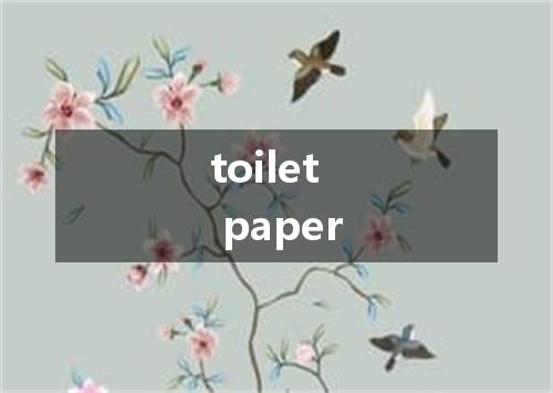 toilet paper是什么意思
