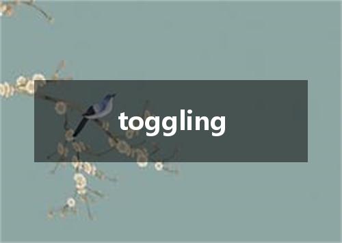 toggling是什么意思