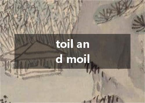 toil and moil是什么意思