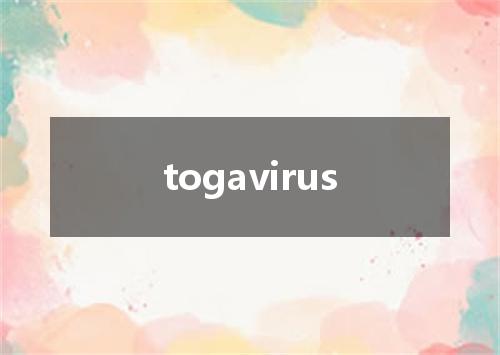 togavirus是什么意思