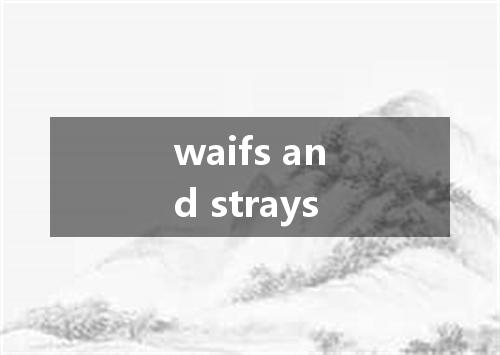 waifs and strays是什么意思