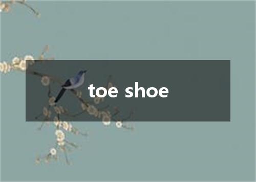 toe shoe是什么意思