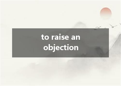 to raise an objection是什么意思