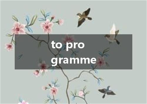 to programme是什么意思