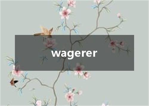 wagerer是什么意思