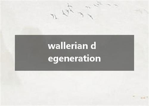 wallerian degeneration是什么意思