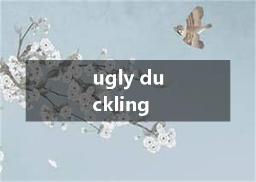 ugly duckling是什么意思
