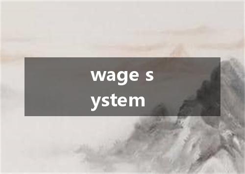wage system是什么意思