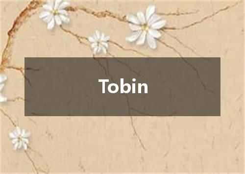 Tobin是什么意思