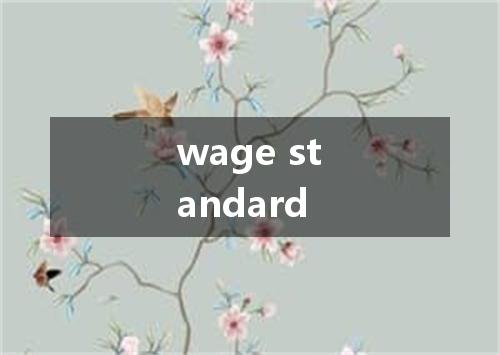 wage standard是什么意思