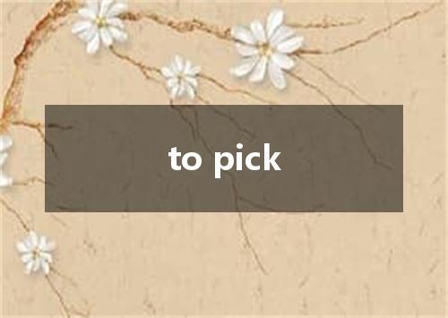 to pick是什么意思