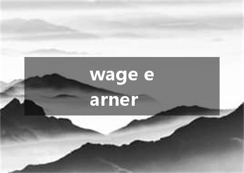 wage earner是什么意思