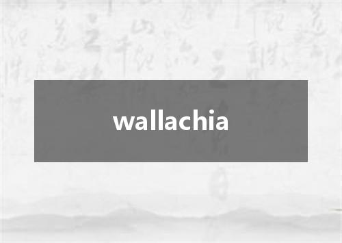 wallachia是什么意思
