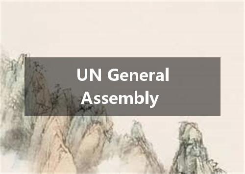 UN General Assembly是什么意思