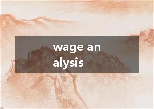 wage analysis是什么意思