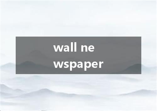 wall newspaper是什么意思