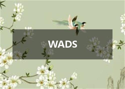 WADS是什么意思