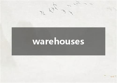 warehouses是什么意思
