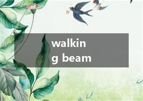 walking beam是什么意思