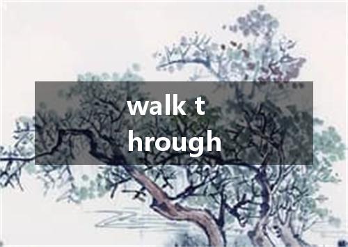walk through是什么意思